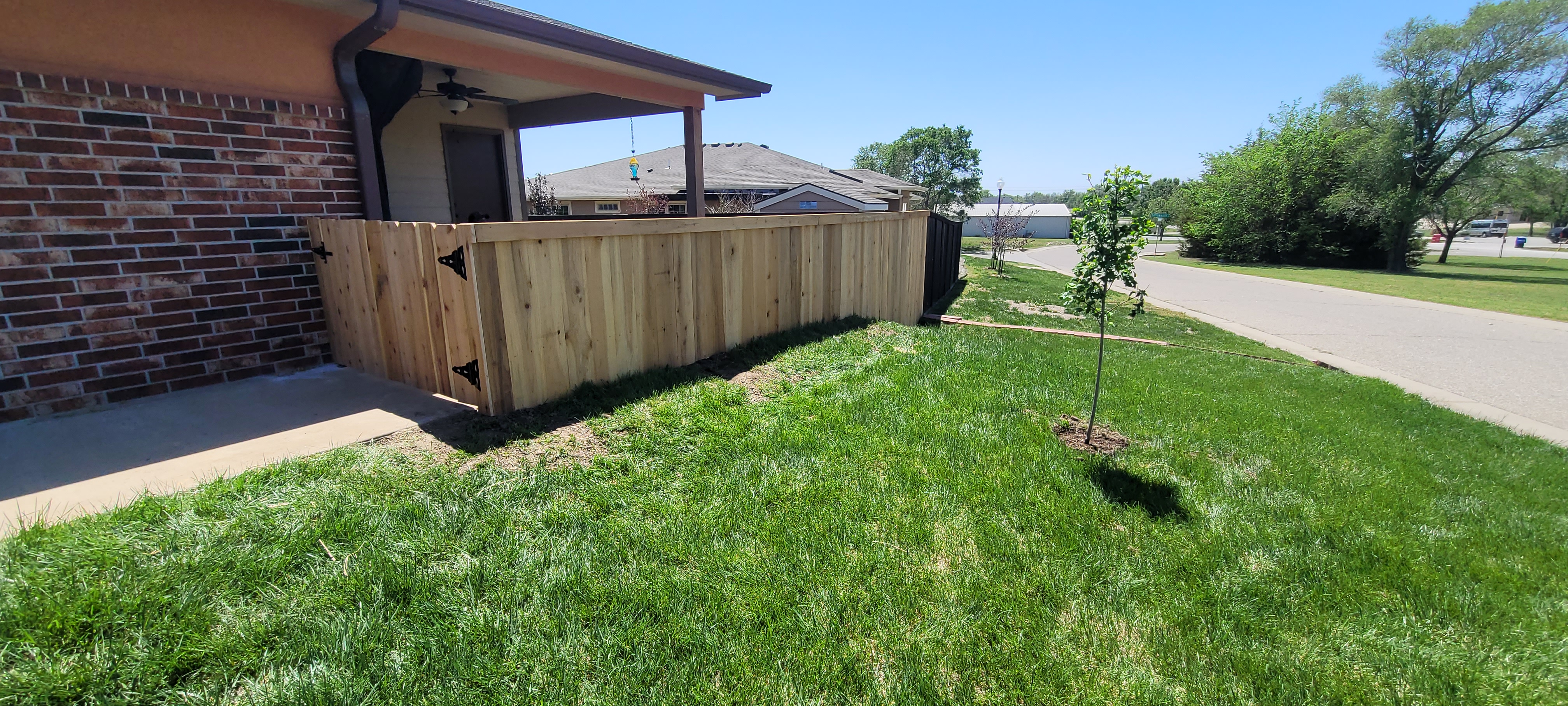 Backyard Upgrade